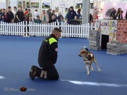 Haustiermesse am 1.03.2026